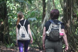 Walking in Finca Luna forest