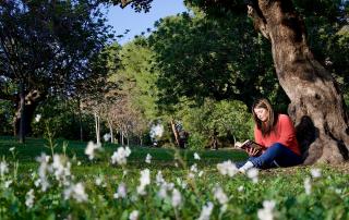 girl reading