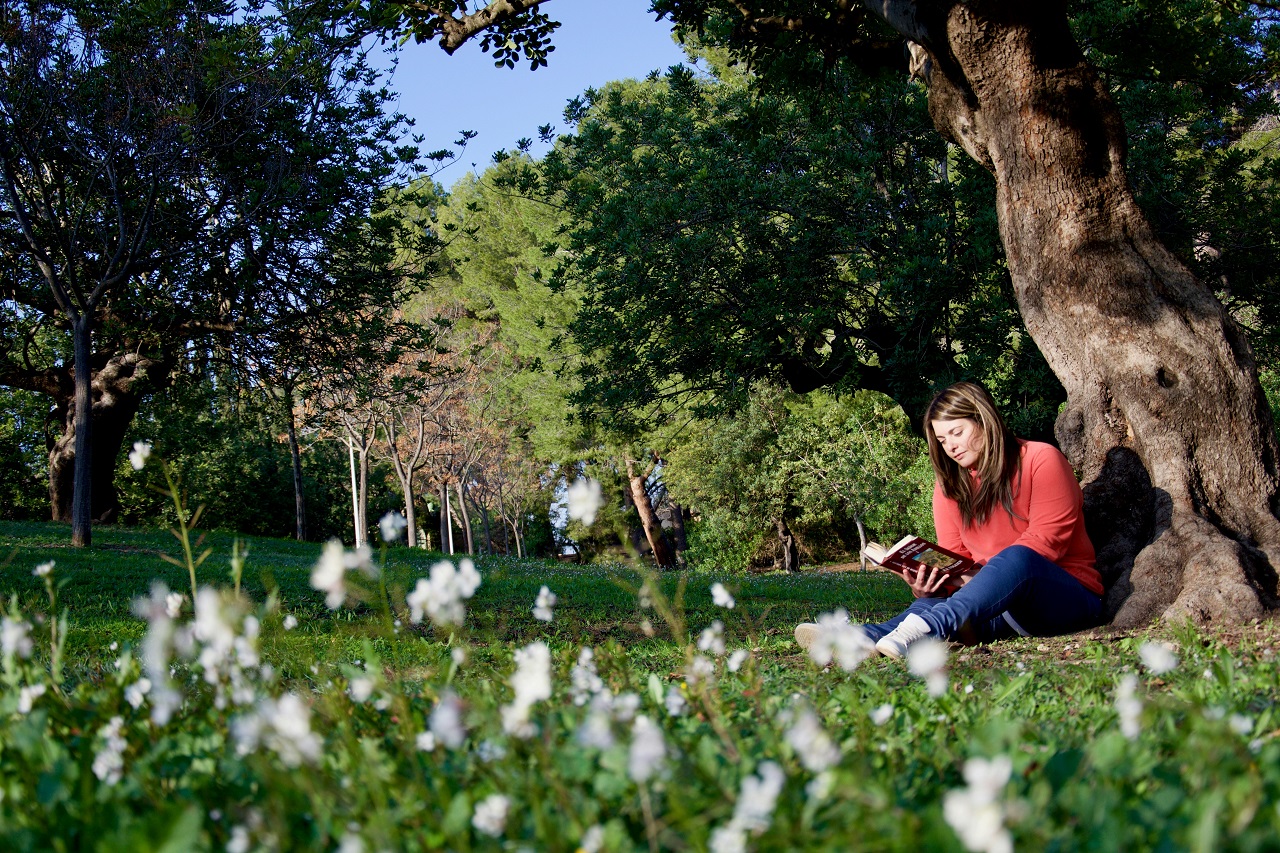 girl reading